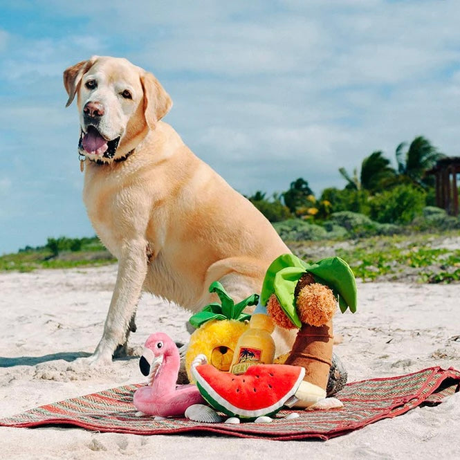 Paws Up Pineapple Squeaky Plush Toy