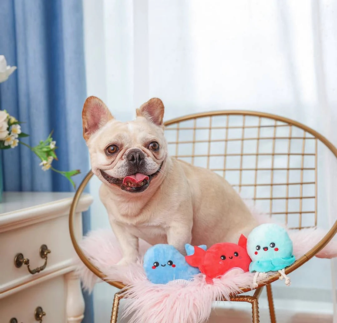 Sea Creatures Friend Toy (Set of 3)