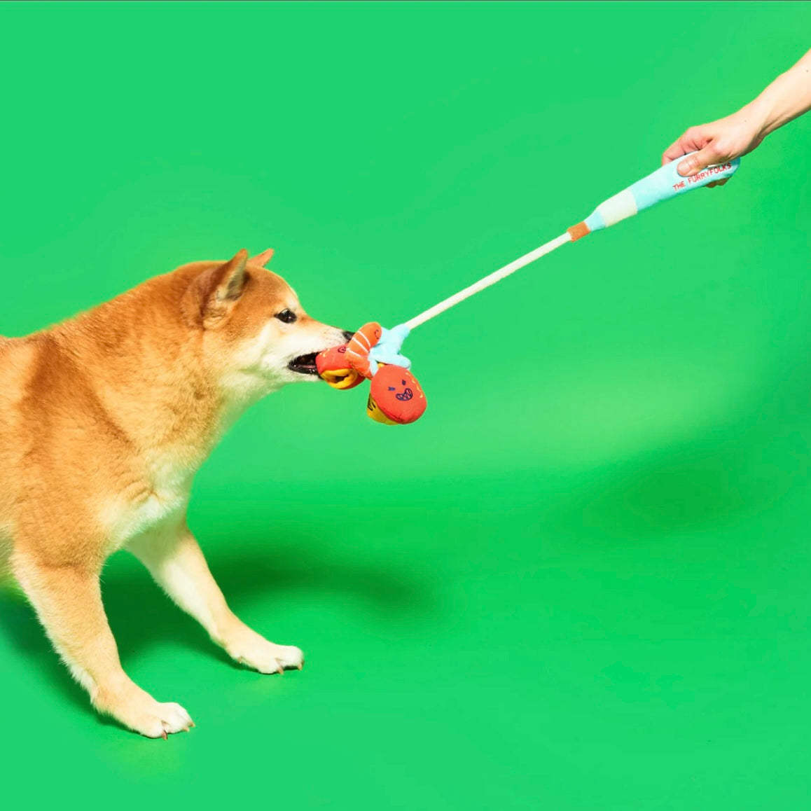 Fishing Nosework & Tug Toy