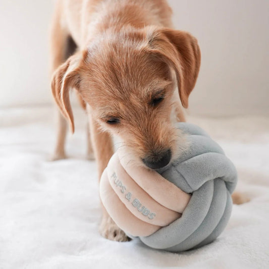 Snuffle Knot Nosework Toy