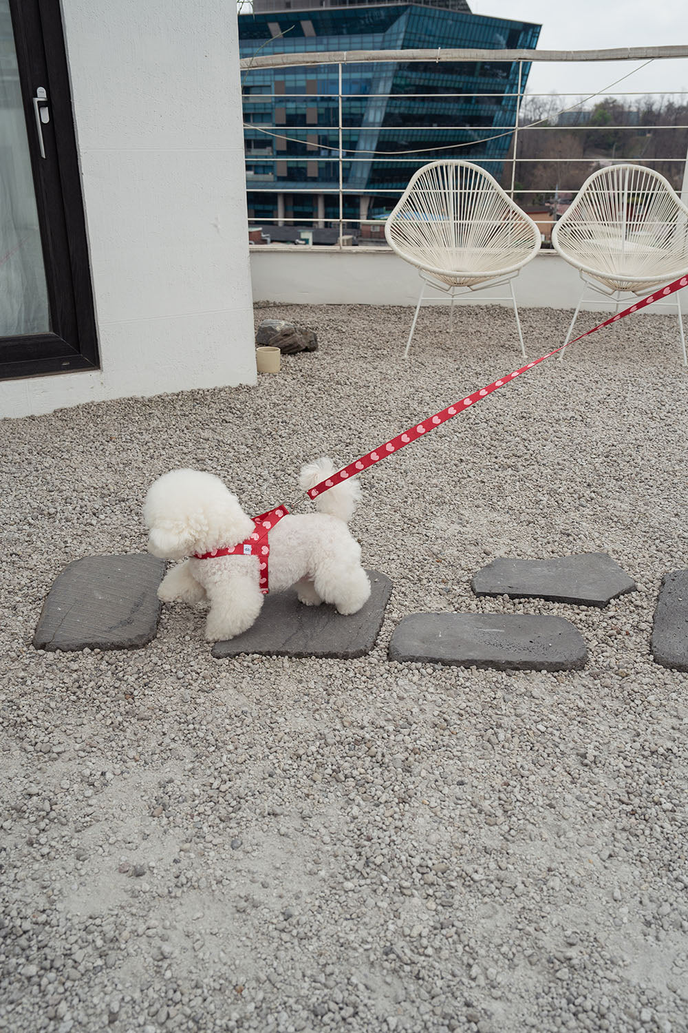 Heart Bong Bong Leash