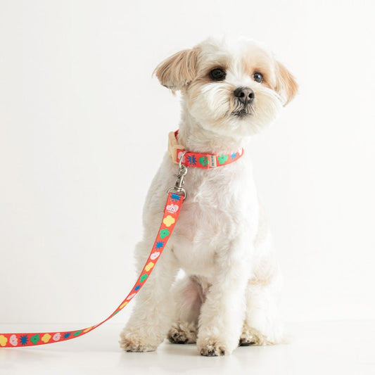 Red Sparkle Hands Free Leash