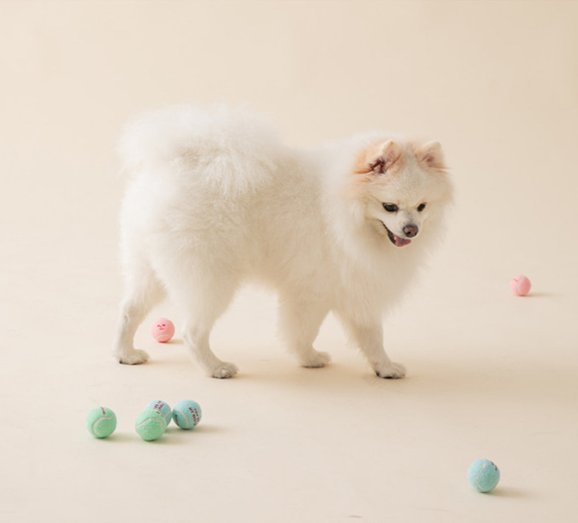 Mini Tennis Ball Toy (Set of 3)