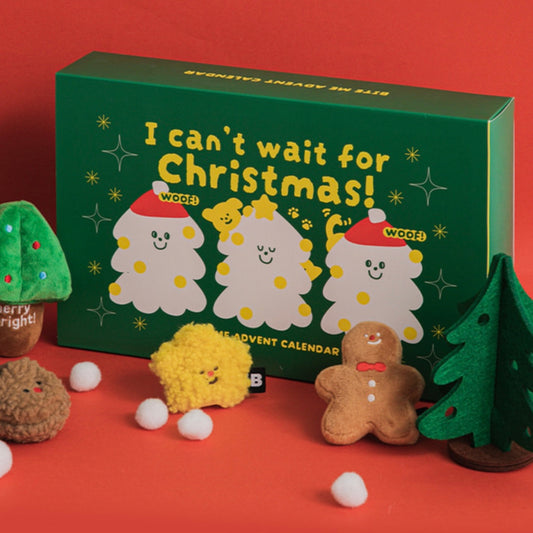 Advent Calendar Toy Set (7 Days)