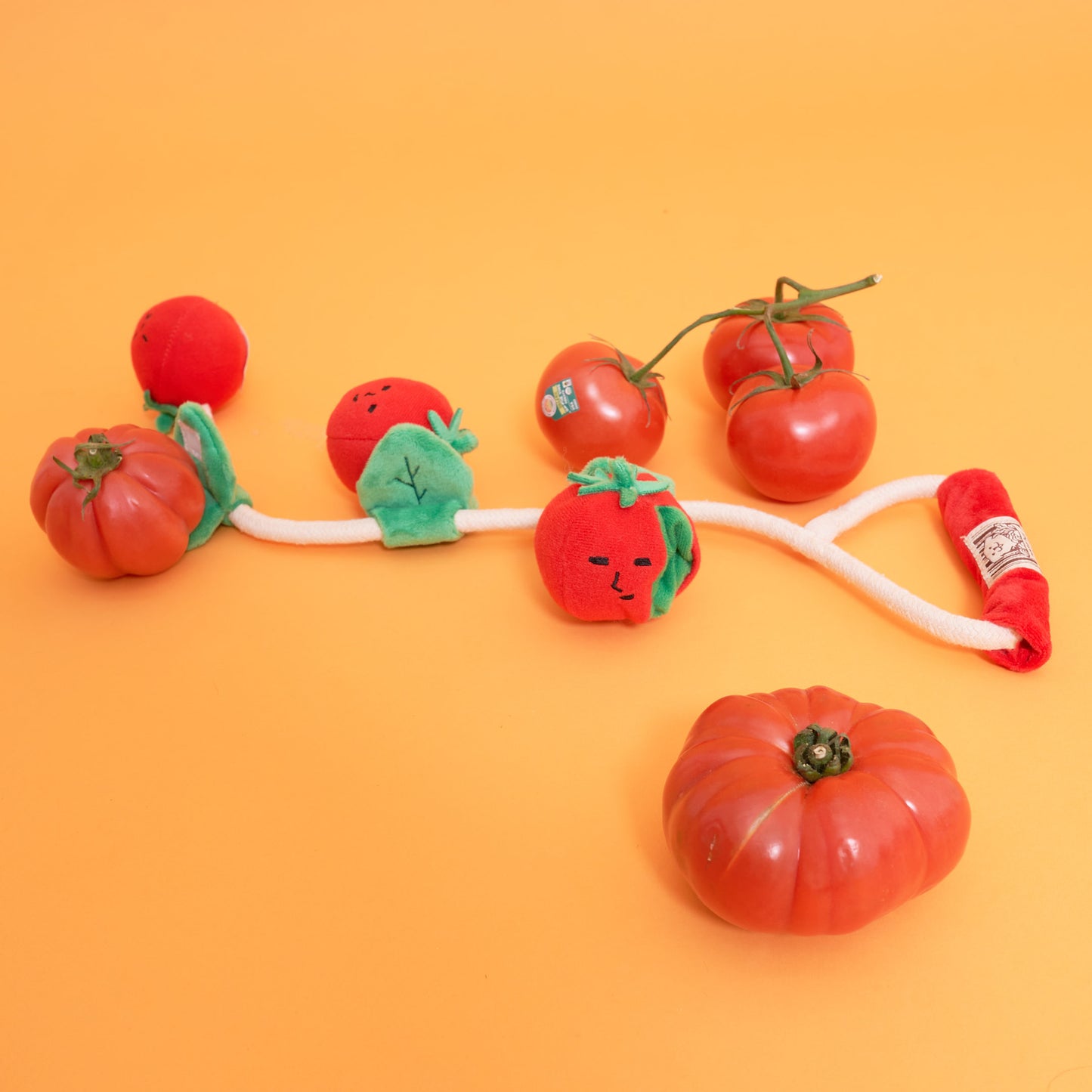 Cherry Tomato Nosework & Tug Toy