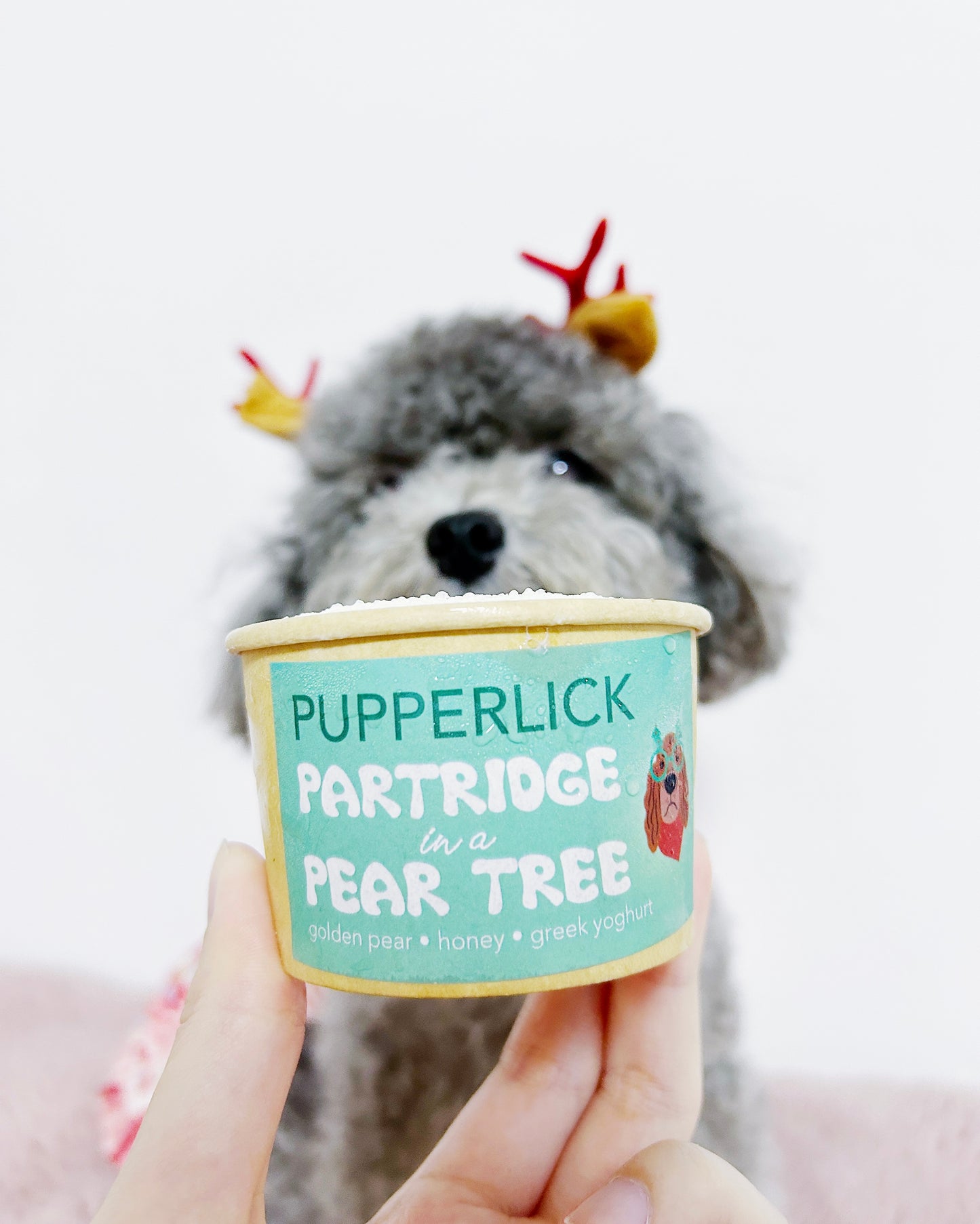 Christmas Lick Cups