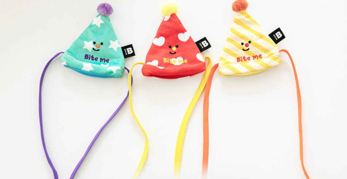 Happy Party Hat Toy (Set of 3)