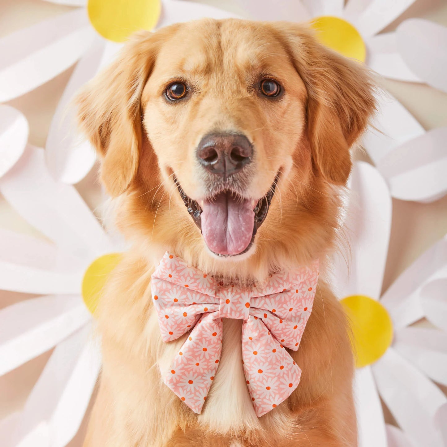 Fresh As A Daisy Sailor Bow