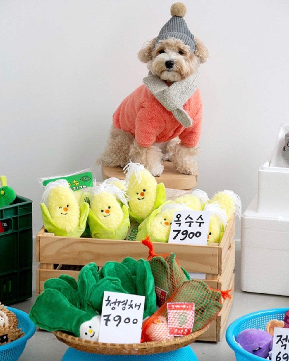 Bok Choy Nosework Toy