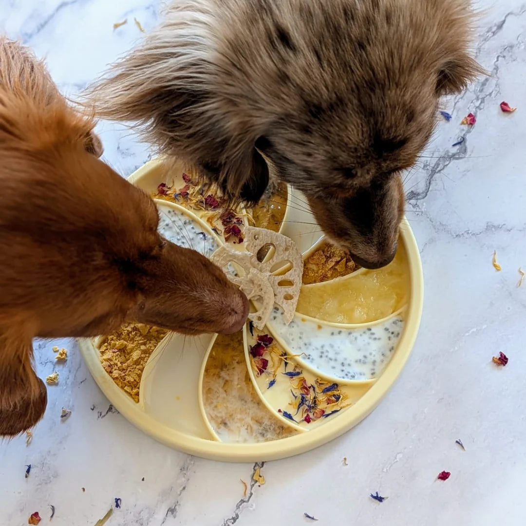 wheelies lick mat & lid | buttercup