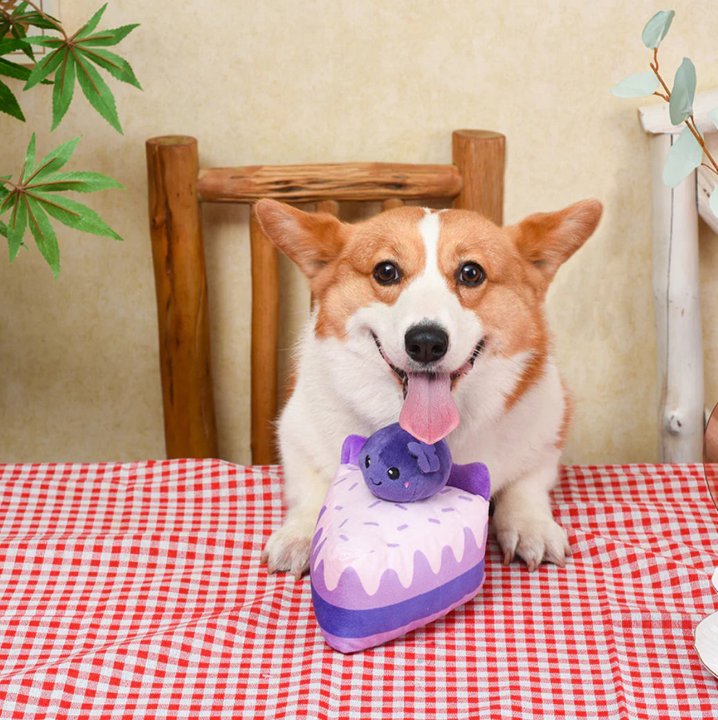 Blueberry Cake Squeaky Toy