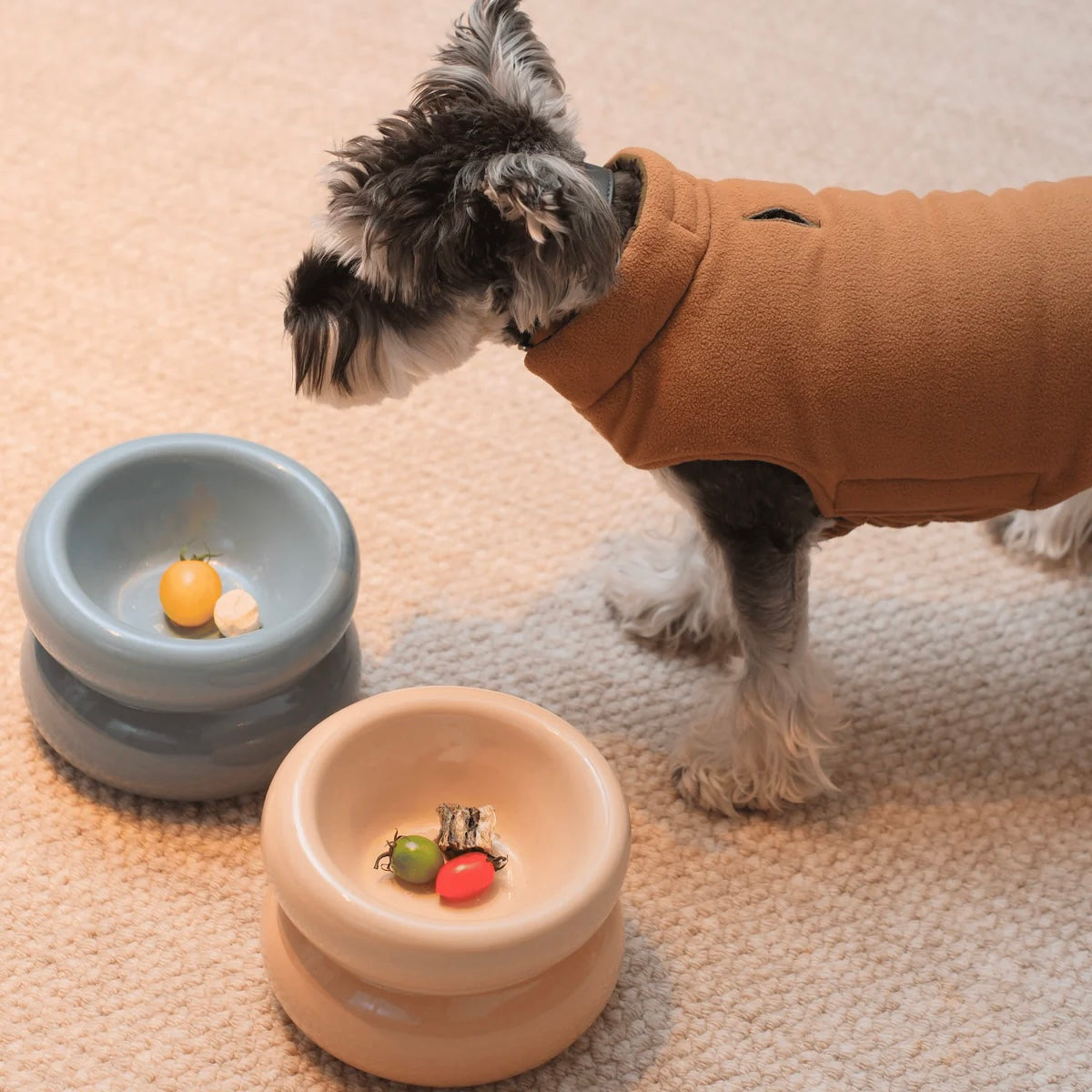PEHOM Soufflé Pet Bowl