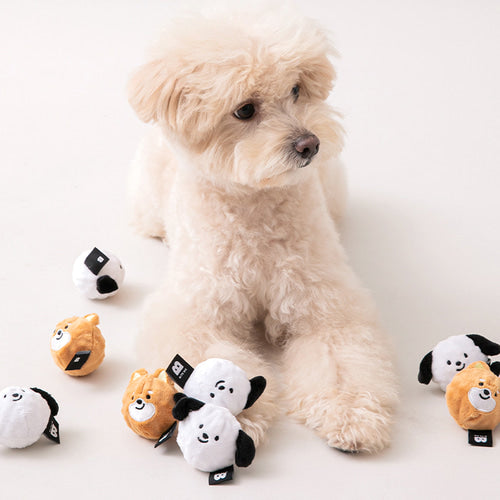 Dog Ball Toy (Set of 2)