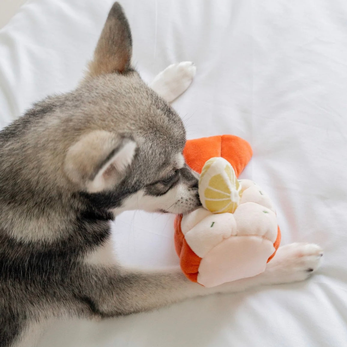 Grilled Lobster Nosework Toy