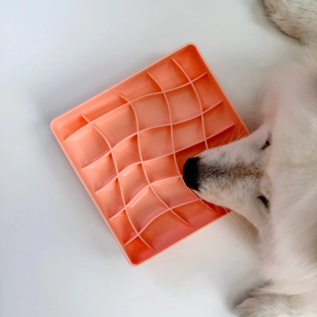 wavies slow feeder bowl | salmon