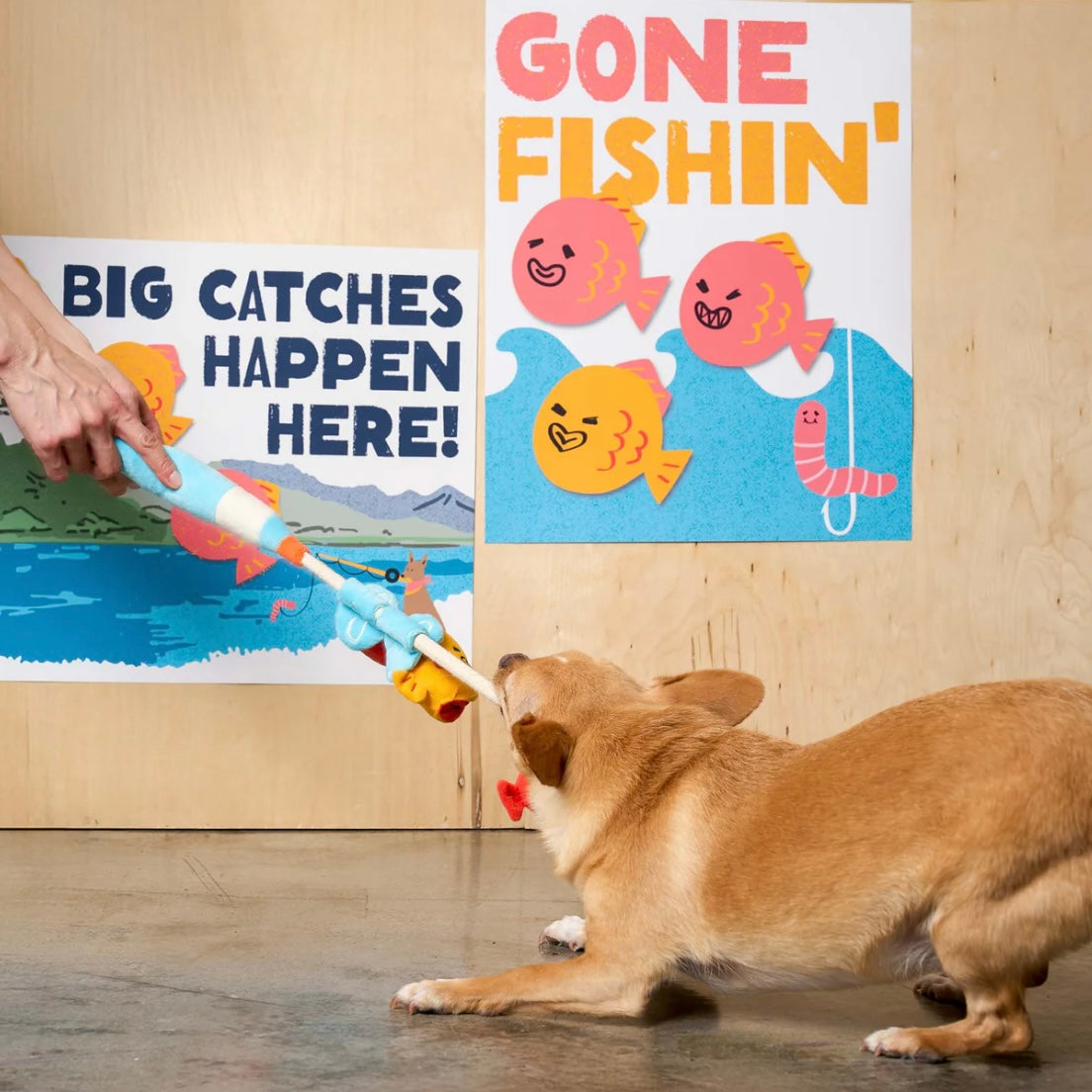 Fishing Nosework & Tug Toy