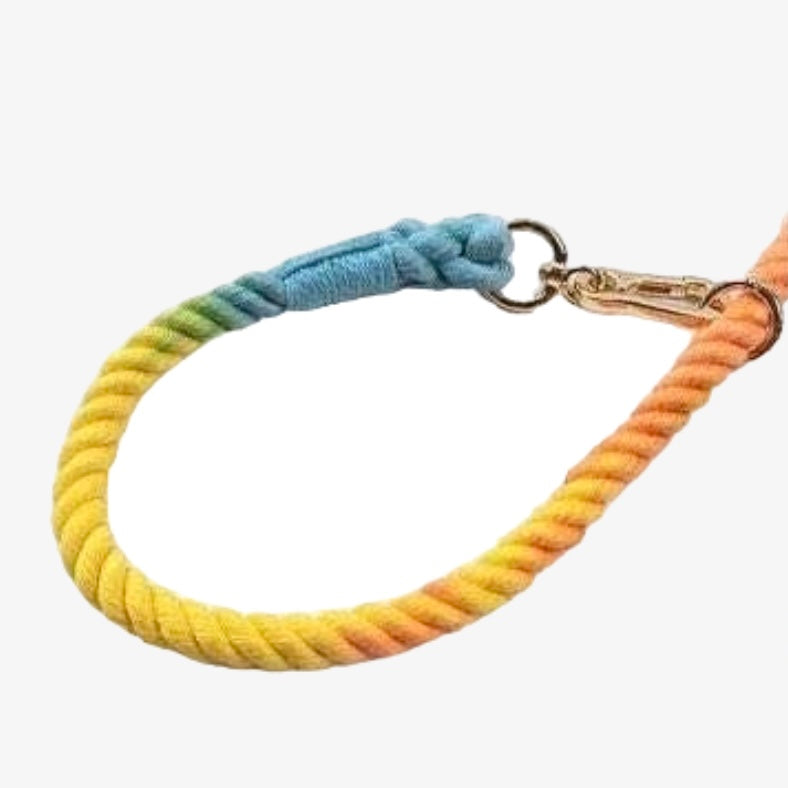 Bright As The Sun Leash