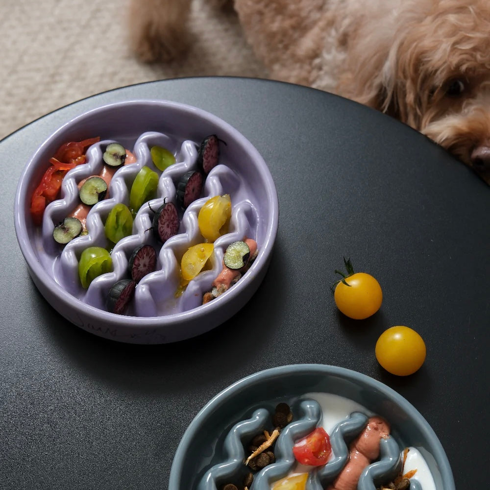 PEHOM Macaroni Slow Feeder Bowl