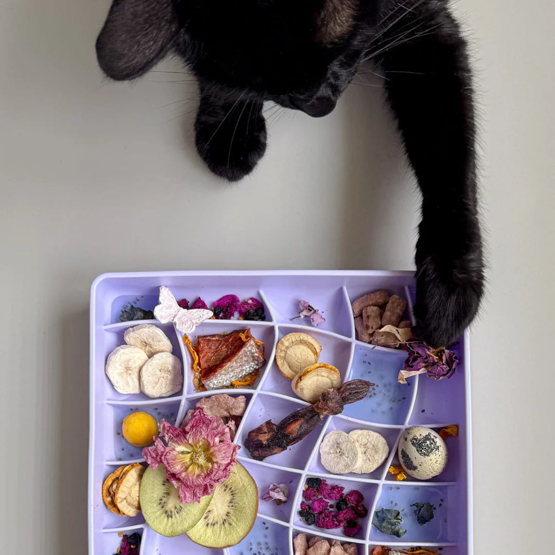 wavies slow feeder bowl | viola
