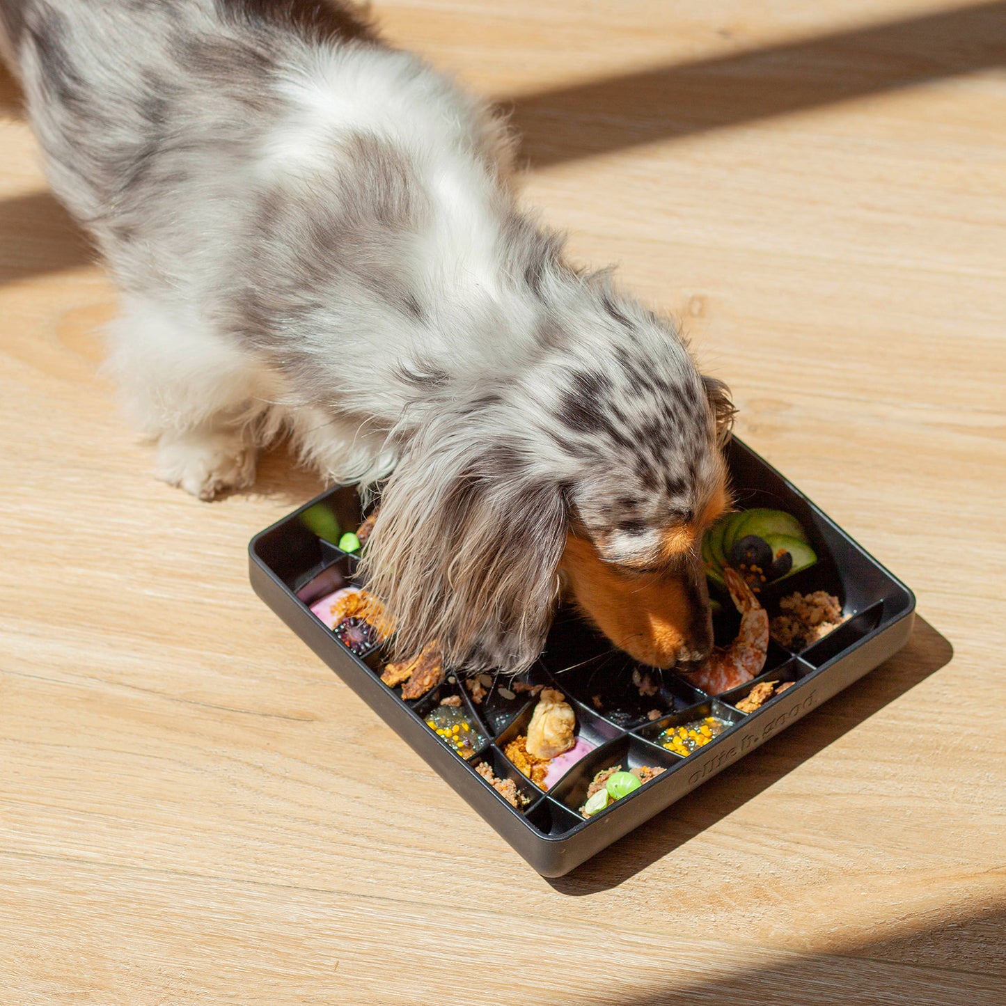 wavies slow feeder bowl | blackberry