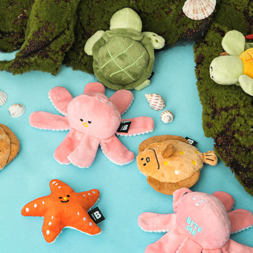 Starfish & Turtle Sea Friends Toy