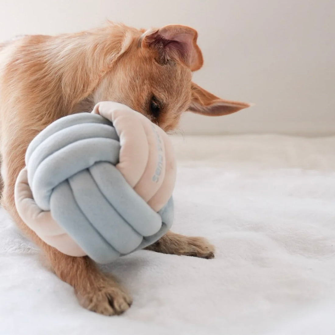 Snuffle Knot Nosework Toy