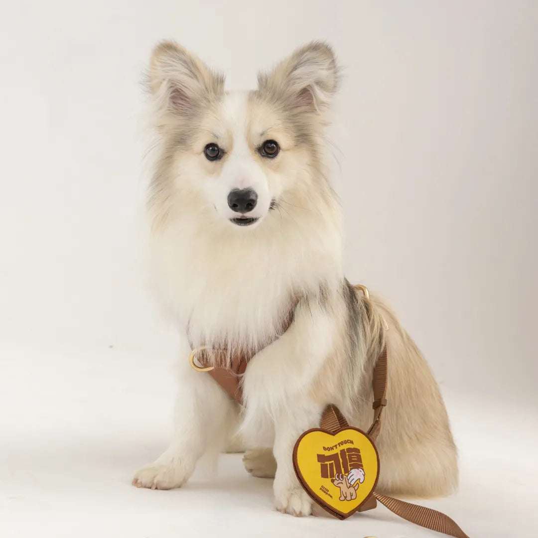 Don't Touch Message Patch (Dog)