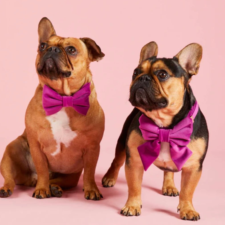 Plum Velvet Sailor Bow