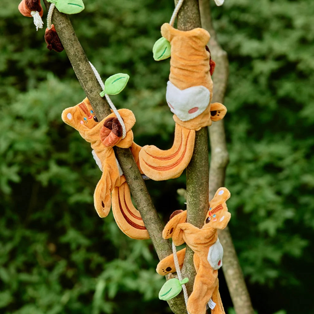 Squirrel Nosework & Tug Toy