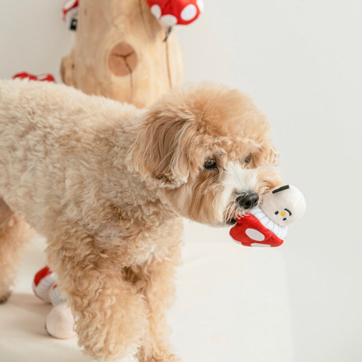Mushroom Nosework Toy