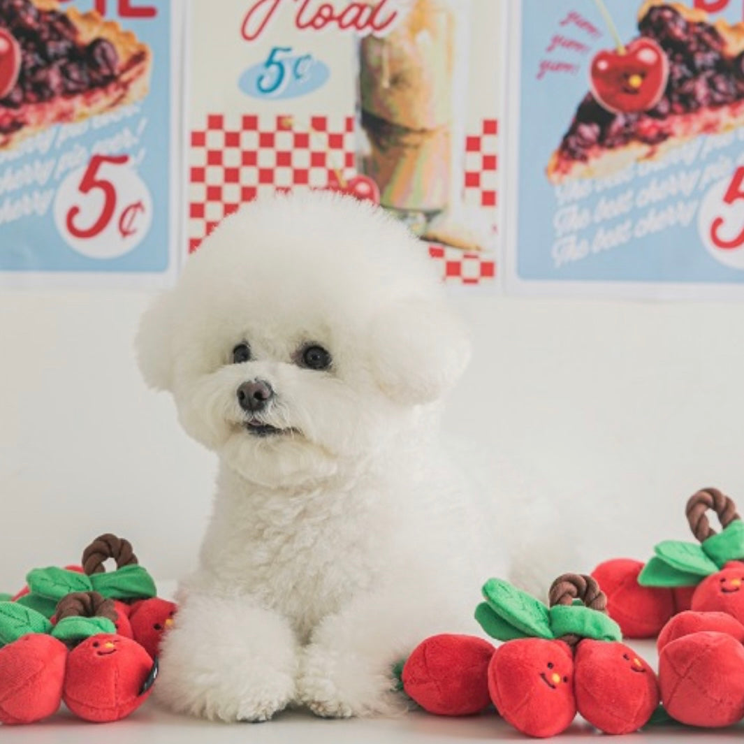 Cherry Tug Toy