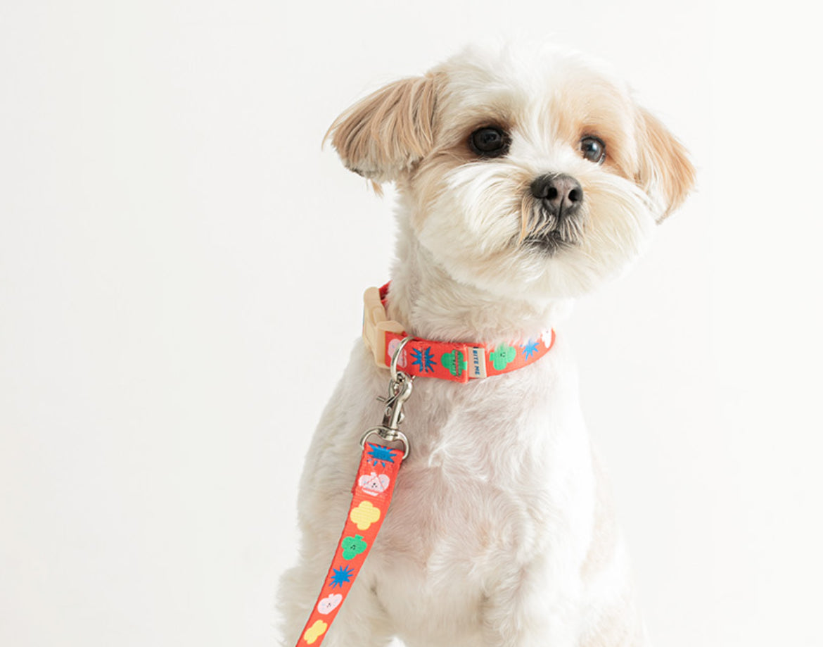 Red Sparkle Dog Collar