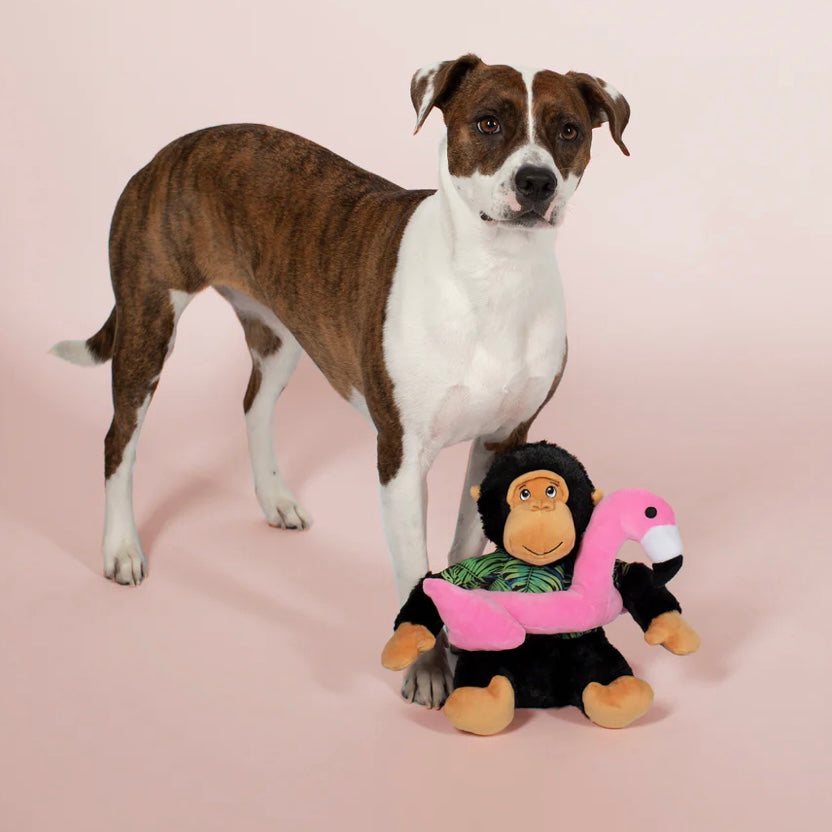 Gregory The Gorilla Squeaky Plush Toy