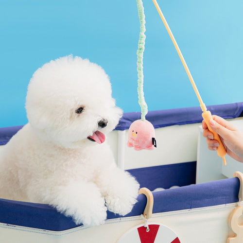 *NEW* Fishing Rod Tug Toy