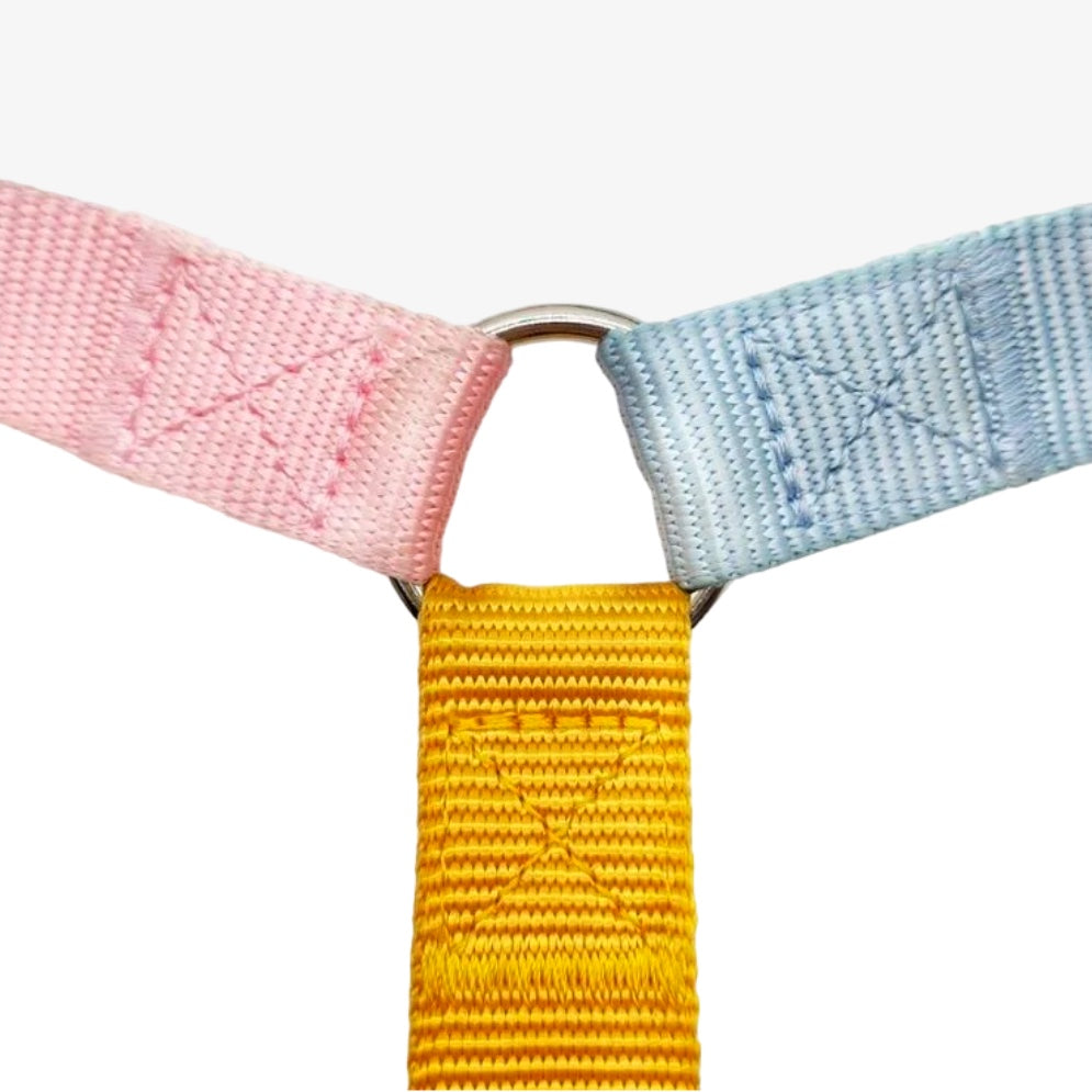 Bright As The Sun Harness
