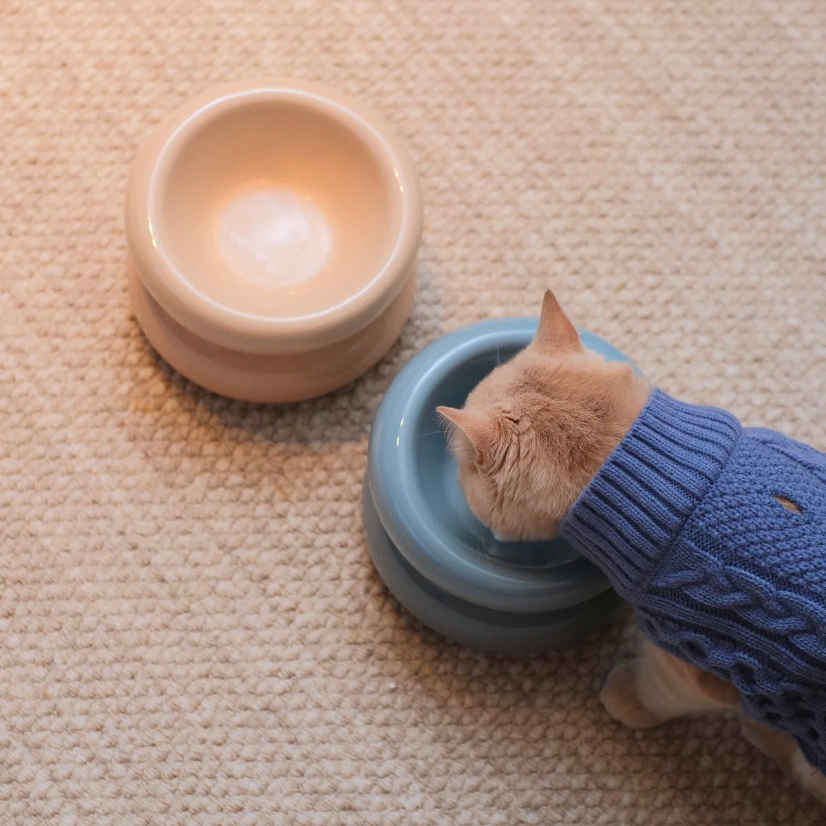 PEHOM Soufflé Pet Bowl
