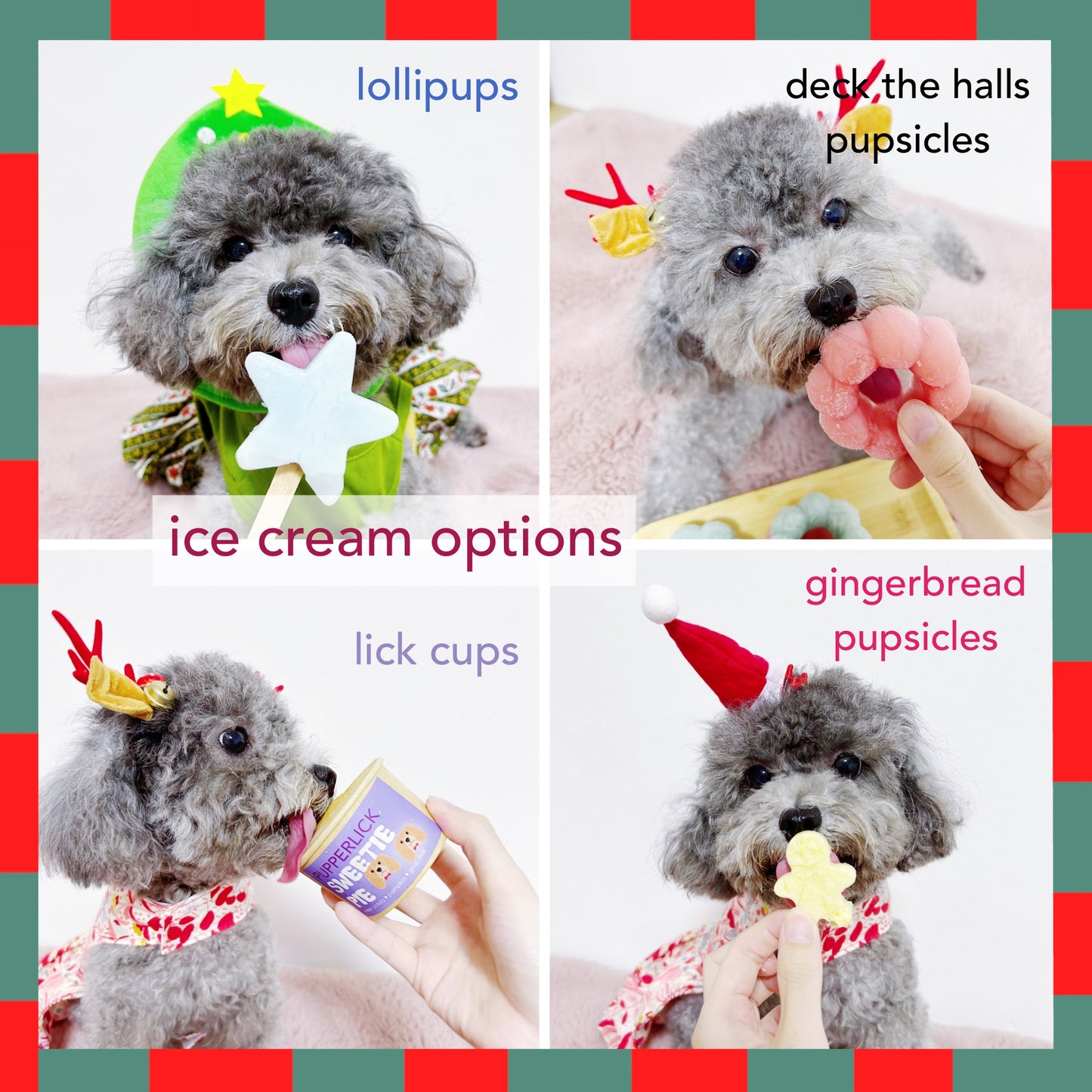 pupperFASHIONISTA Bundle