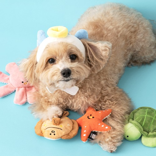 Starfish & Turtle Sea Friends Toy