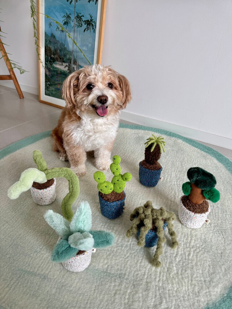 Monkey Tail Plant Dog Toy