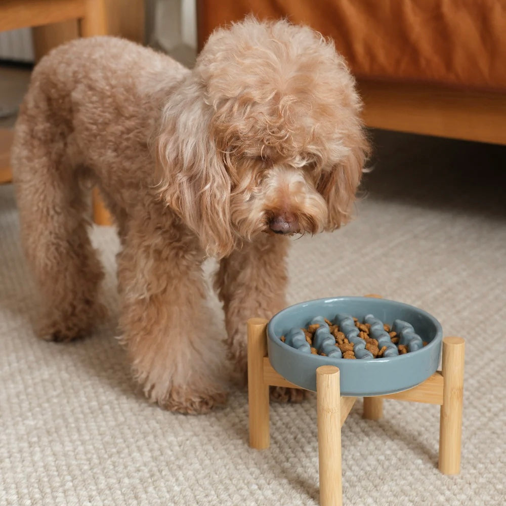PEHOM Macaroni Slow Feeder Bowl