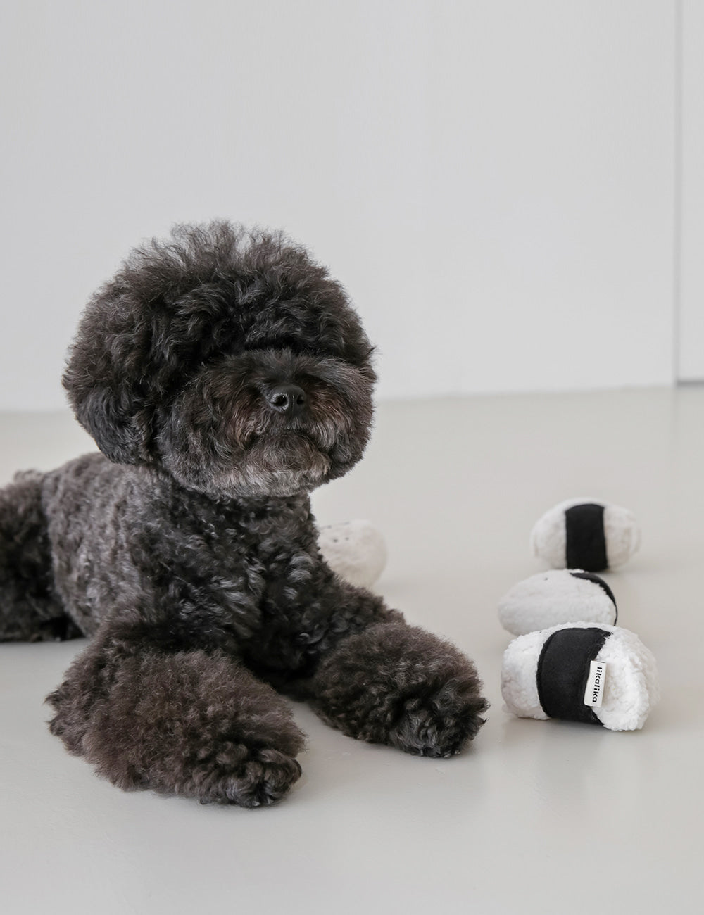 Triangle Gimbap Nosework Toy