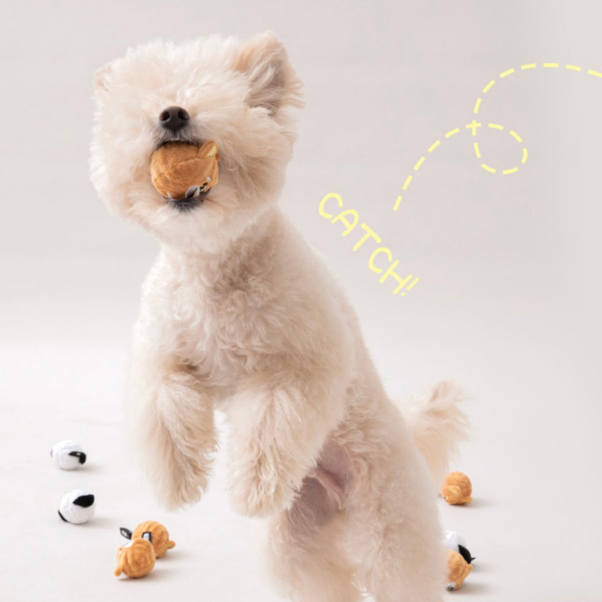 Dog Ball Toy (Set of 2)