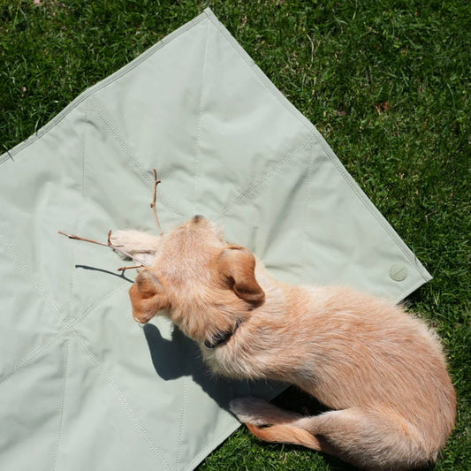 Jouir Travel Mat (Sage)