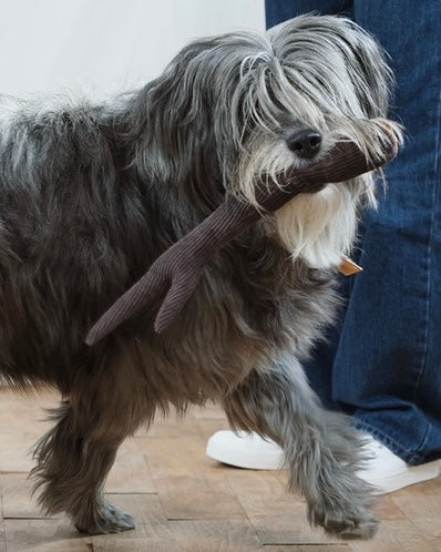 Walnut Wood Dog Toy