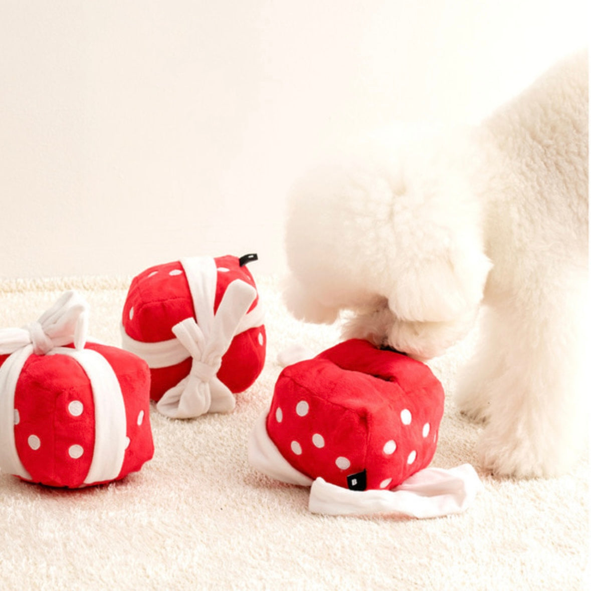 Gift Box Nosework Toy