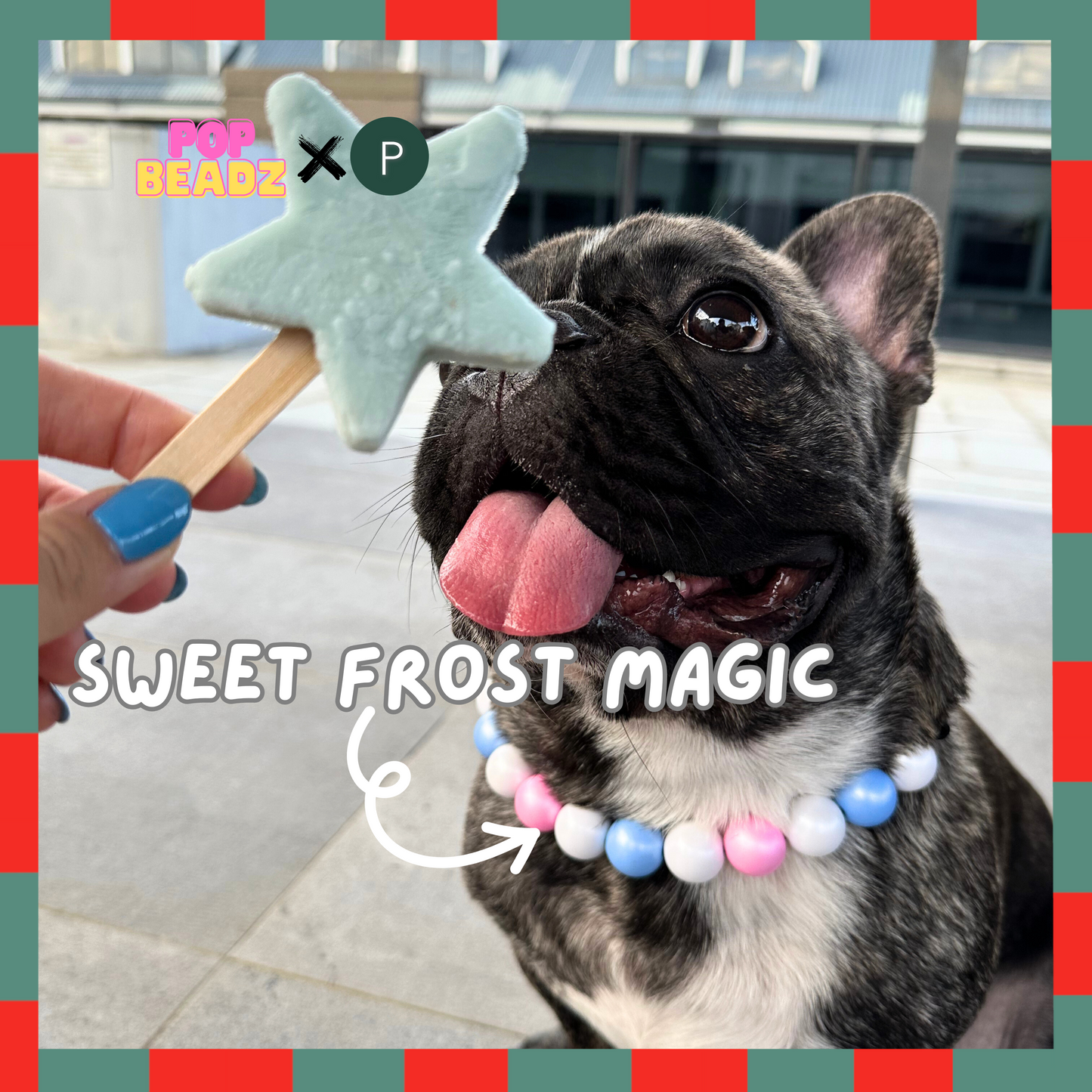 Sweet Frost Magic Collar