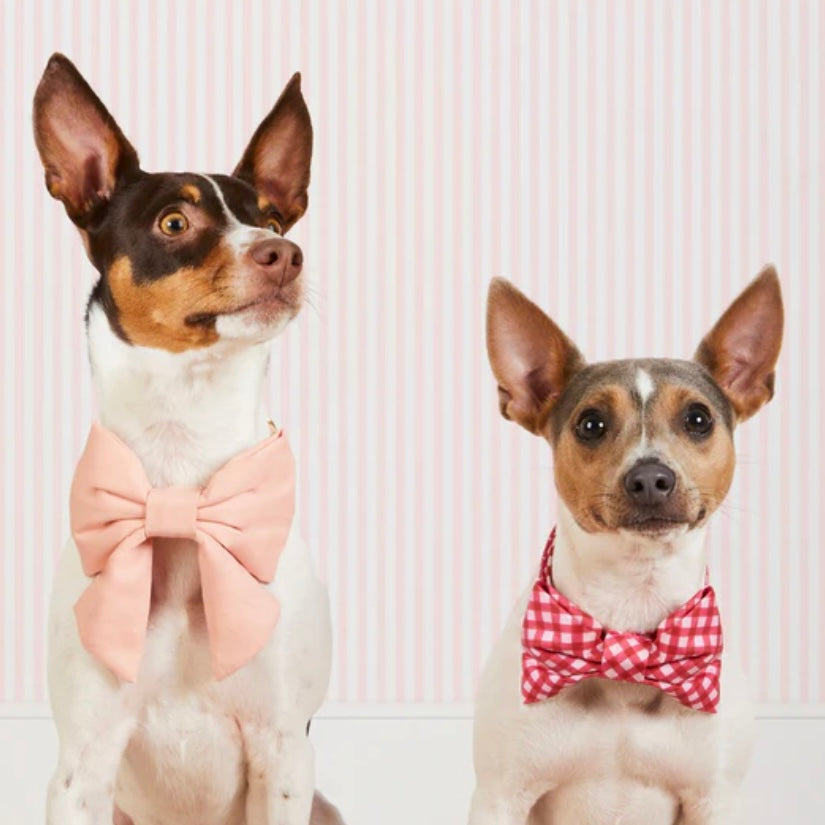 Blush Pink Velvet Sailor Bow