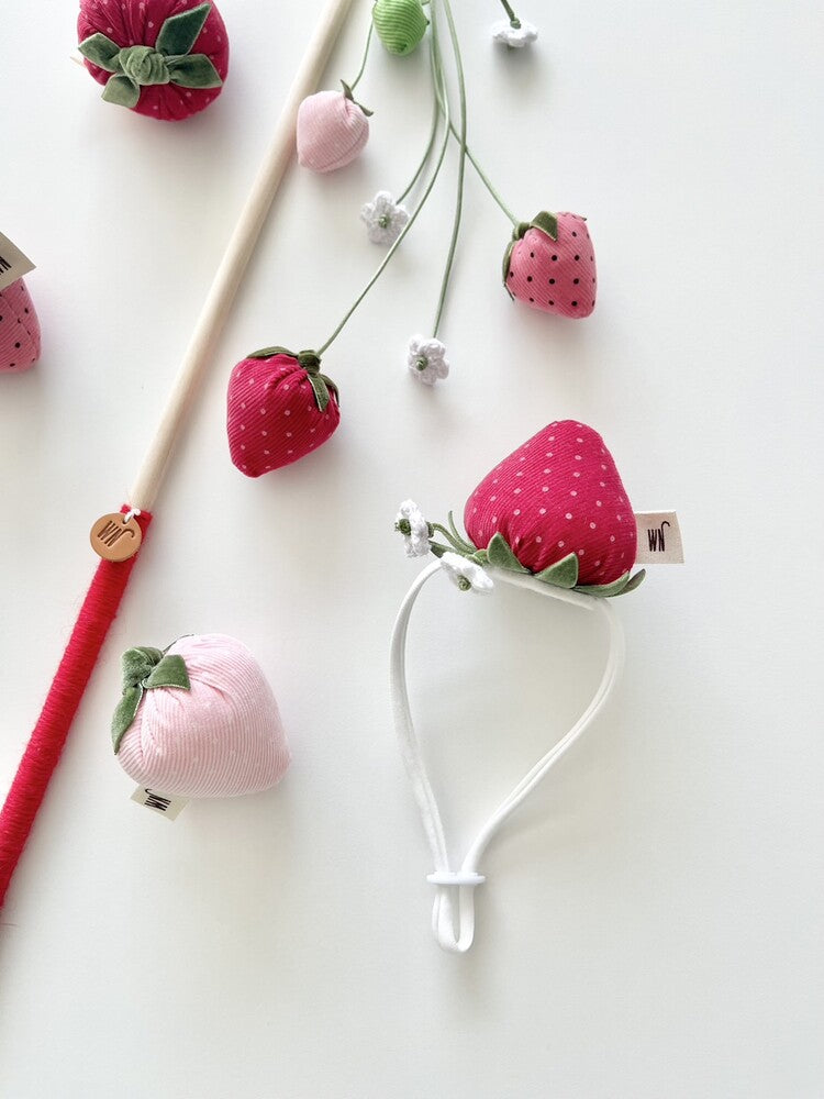 Strawberry Head Piece