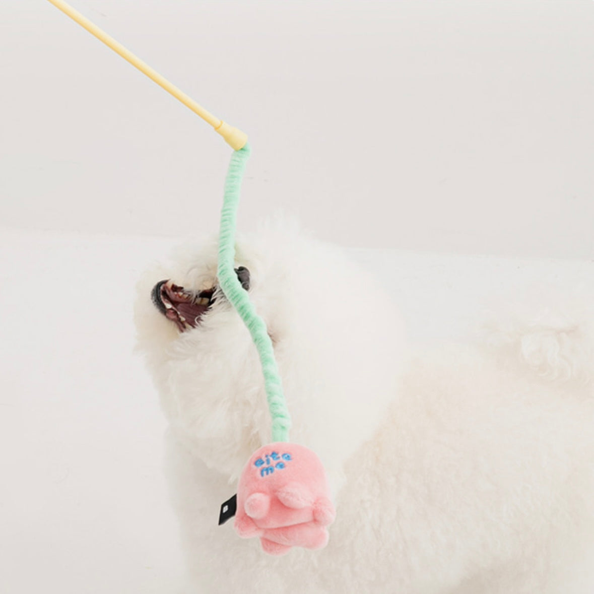 *NEW* Fishing Rod Tug Toy