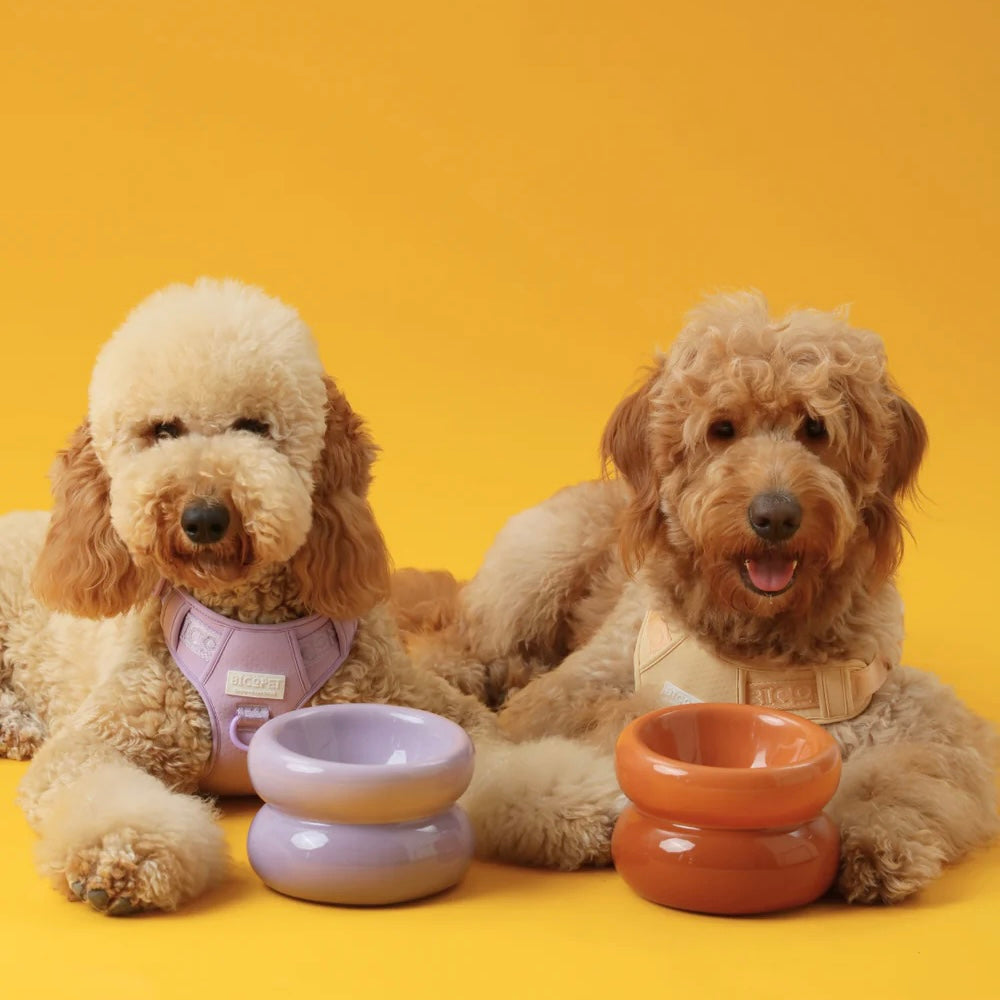 PEHOM Soufflé Pet Bowl